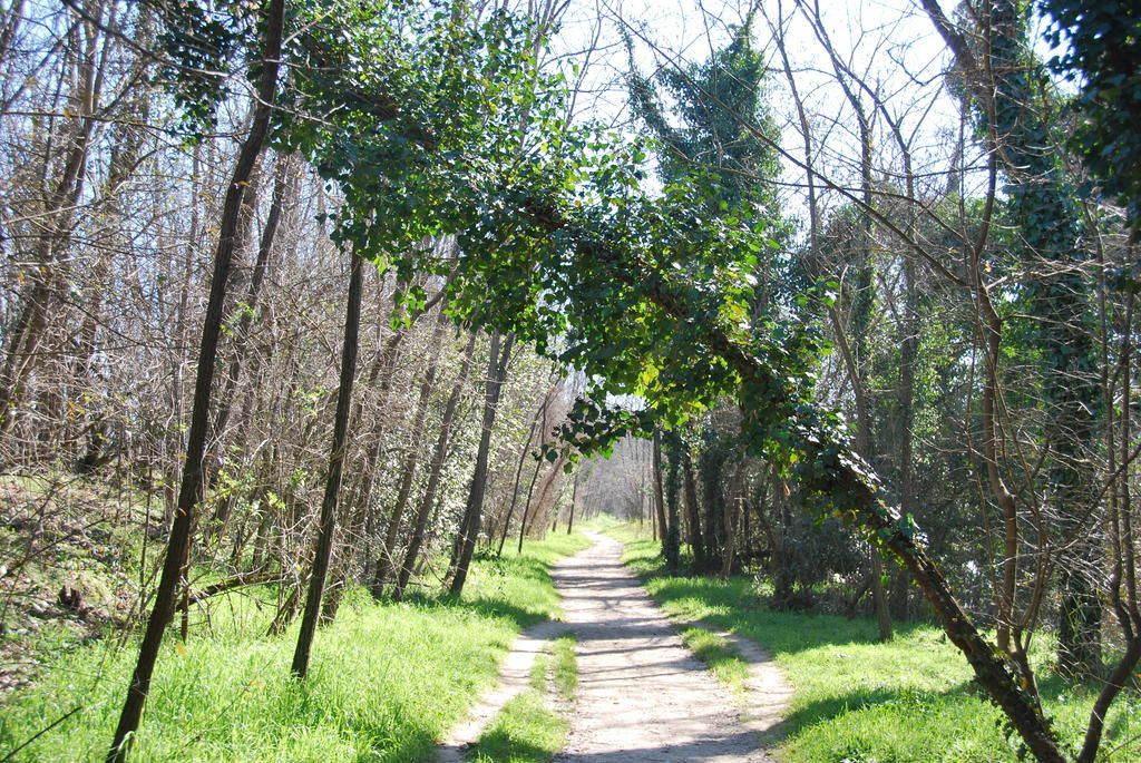 B&B Percorso Verde Ponte Valleceppi Εξωτερικό φωτογραφία